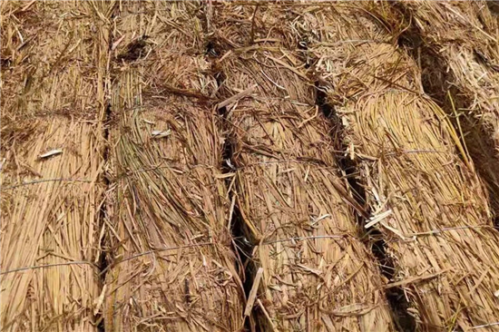 鋼廠鐵路裝載加固防滑草支墊廠家分享 選材與工藝(防滑草墊屬于什么用品)