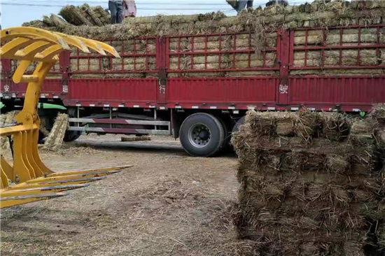 稻夫草支墊在鐵路運輸中的作用與價值(稻夫草支墊廠)