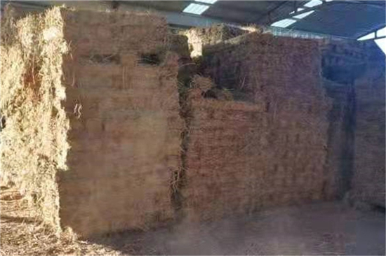 鋼廠鐵路運(yùn)輸防滑加固稻夫草支墊的定制方案(稻草墊的使用方法)