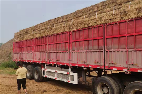 防滑加固稻夫草支墊在鋼廠鐵路火車(chē)運(yùn)輸中的應(yīng)用案例(稻草鋪地防滑)