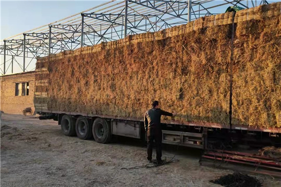 鋼廠鐵路裝載加固防滑草支墊 性能與優(yōu)勢(防滑草墊規(guī)格)