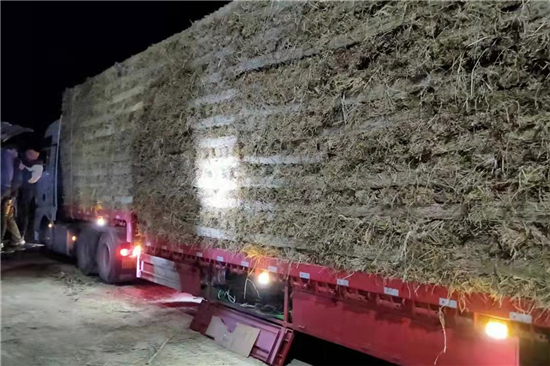 防滑草支墊廠家 鐵路鋼廠裝載安全的保障(下雪防滑草墊廠家)