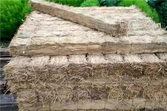 鋼廠鐵路運(yùn)輸防滑加固稻夫草支墊的國內(nèi)外發(fā)展現(xiàn)狀(稻夫草編制品廠)