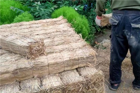 鋼廠鐵路裝載加固防滑草支墊廠家的技術(shù)創(chuàng)新與發(fā)展(防滑草墊屬于什么用品)