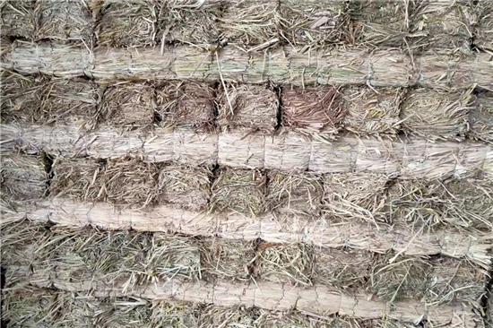 防滑草支墊在鋼廠鐵路裝載中的作用與價(jià)值(防滑草支墊在鋼廠鐵路裝載中的作用與價(jià)值是什么)