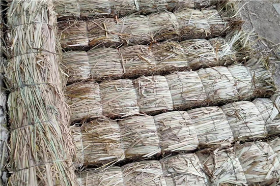 防滑草支墊在鋼廠鐵路裝載中的創(chuàng)新與實踐(防滑草繩捆扎方法)