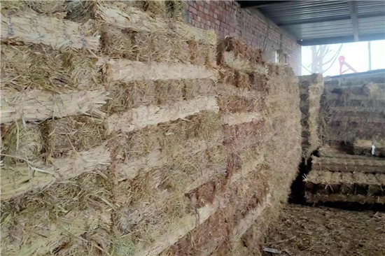 稻夫草支墊在鐵路運輸裝載加固中的應用研究(稻草墊厚度不得小于且壓實后不得小于10mm)