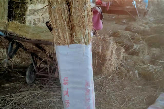 鋼廠鐵路運(yùn)輸安全 防滑草支墊的重要性(鐵路專用草支墊廠家直銷)