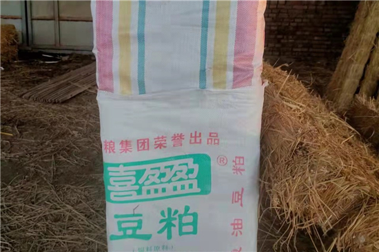 鋼廠鐵路裝載防滑草支墊的市場(chǎng)前景分析(防滑草墊屬于什么用品)