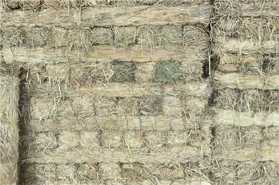 防滑草支墊在鋼廠鐵路裝載中的作用與價(jià)值(防滑草支墊在鋼廠鐵路裝載中的作用與價(jià)值是什么)