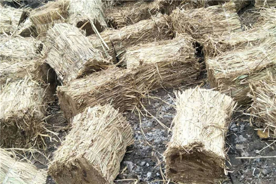 防滑草支墊廠家 為鐵路鋼廠裝載保駕護航(防滑草繩捆扎方法)