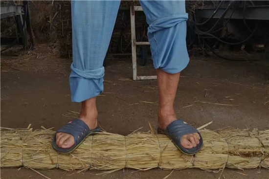 稻夫草支墊在鐵路運(yùn)輸中對(duì)貨物的穩(wěn)定支撐(稻夫草編制品廠) 稻夫草支墊在鐵路運(yùn)輸中對(duì)貨物的穩(wěn)定支撐(稻夫草編制品廠)