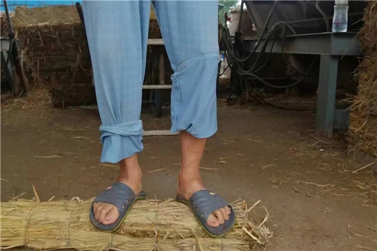 防滑草支墊在鋼廠鐵路裝載中的安全性能評(píng)估(草坪防滑墊)