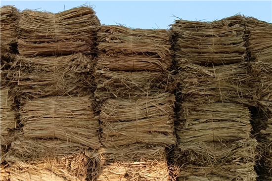 鋼廠鐵路火車運(yùn)輸防滑加固稻夫草支墊的廠家選型與評(píng)價(jià)