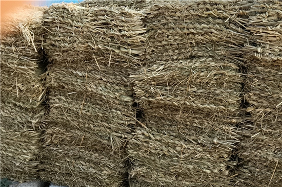 鋼廠鐵路裝載防滑草支墊的市場(chǎng)前景分析