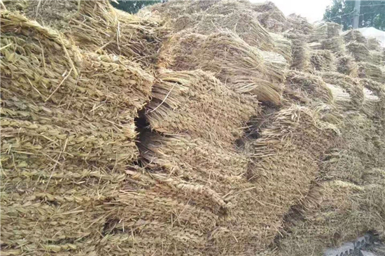 鐵路鋼廠(chǎng)裝載加固 防滑草支墊的選用(防滑草墊在哪里有賣(mài))