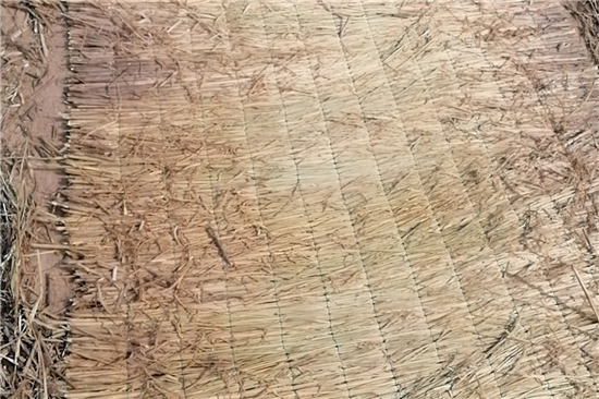 稻夫草支墊在鐵路貨運(yùn)中的創(chuàng)新應(yīng)用與實(shí)踐