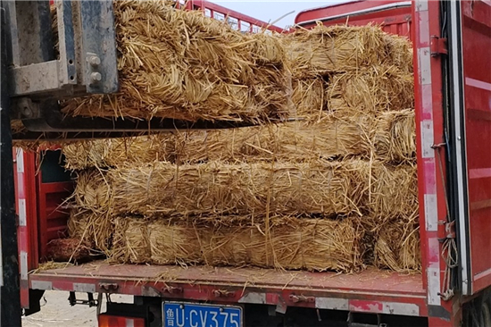 鋼廠鐵路運(yùn)輸防滑加固稻夫草支墊與傳統(tǒng)材料的對(duì)比優(yōu)勢(shì)