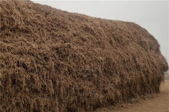 鋼廠鐵路運(yùn)輸防滑加固稻夫草支墊的技術(shù)創(chuàng)新