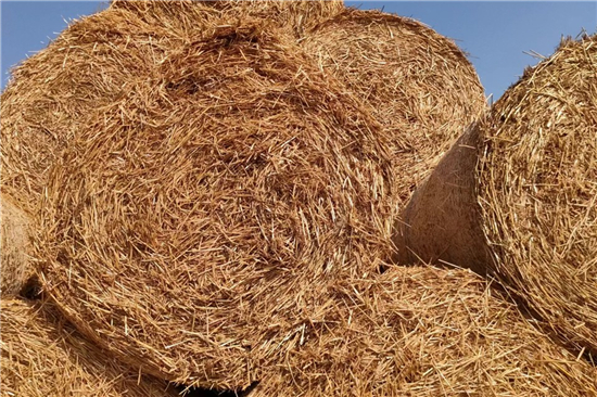 鋼廠鐵路裝載防滑草支墊的規(guī)格與要求(防滑草墊多少錢一塊)