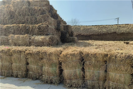 防滑草支墊廠家 為鐵路鋼廠裝載保駕護(hù)航(防滑草墊規(guī)格)