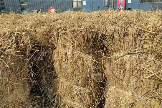 鋼廠鐵路火車運(yùn)輸防滑加固稻夫草支墊的安裝與維護(hù)(稻草墊厚度不得小于且壓實(shí)后不得小于10mm)