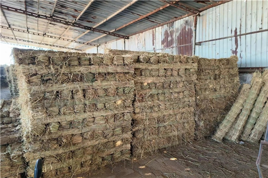 鐵路鋼廠裝載防滑草支墊廠家 全面提升運(yùn)輸安全(防滑草墊使用注意)