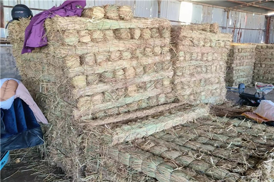 優(yōu)質(zhì)鋼廠鐵路裝載加固防滑草支墊廠家脫穎而出(防滑草墊在哪里有賣)