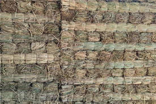 鋼廠鐵路運(yùn)輸防滑加固稻夫草支墊的維護(hù)與管理(稻草墊怎么做)