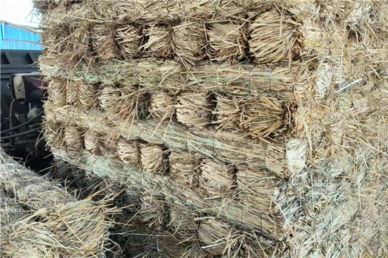 鋼廠鐵路運(yùn)輸防滑加固稻夫草支墊的施工要點(diǎn)(稻草墊厚度不得小于)