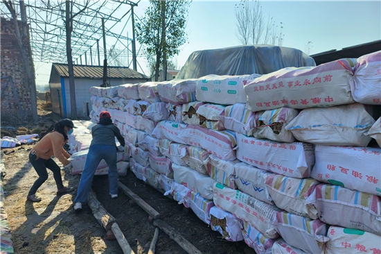 鋼廠鐵路運(yùn)輸防滑加固稻夫草支墊的現(xiàn)場管理