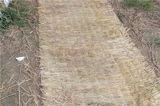 稻夫草支墊在鐵路運(yùn)輸中的安全性能評(píng)估(稻草墊一般鋪墊于貨物與車地板間)