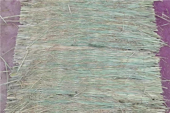 鋼廠鐵路運輸防滑加固稻夫草支墊的行業(yè)動態(tài)(稻草防腐)