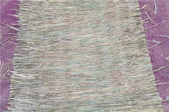 鋼廠鐵路運輸防滑加固稻夫草支墊的檢測與質量控制(稻草墊厚度不得小于且壓實后不得小于10mm)